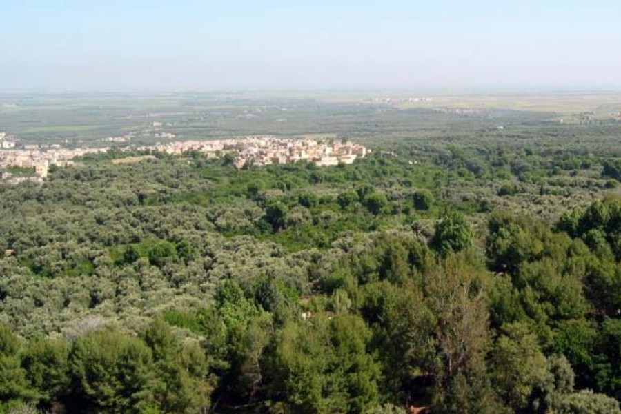 L`agropole de Béni-Mellal en devenir