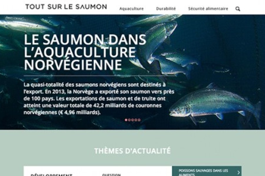 COMMUNICATION: UN SITE D'INFORMATION DÉDIÉ AU SAUMON