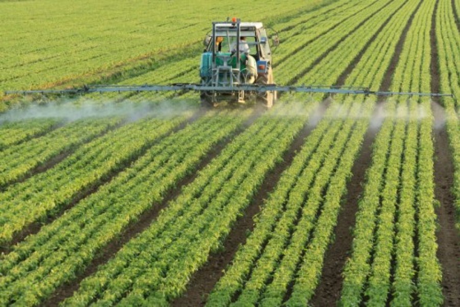 ONSSA : les pesticides obsolètes