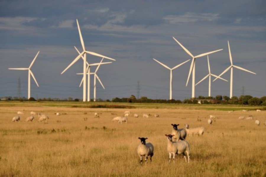 LE MAROC CHAMPION DE L'EOLIEN 