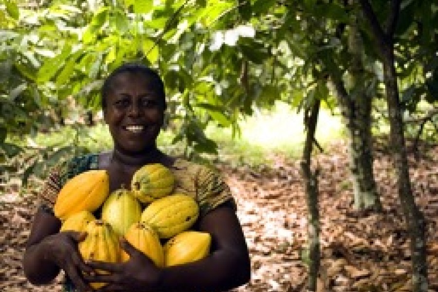 AL MADA crée TERALYS, nouvelle filiale dédiée au secteur agroalimentaire à l’international.