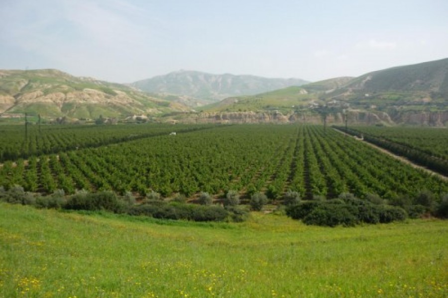 BONNE CAMPAGNE AGRICOLE