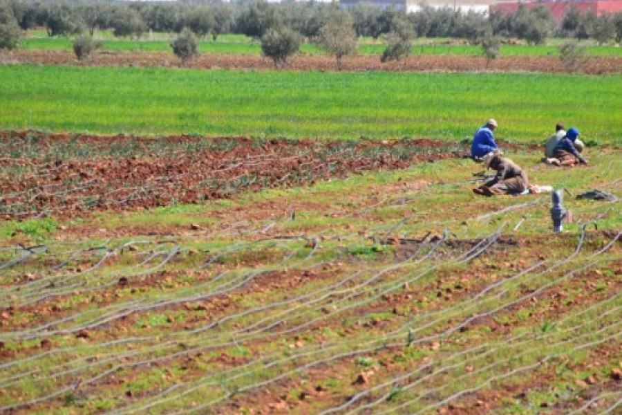 88 MILLIONS $ ACCORDÉS AU MAROC