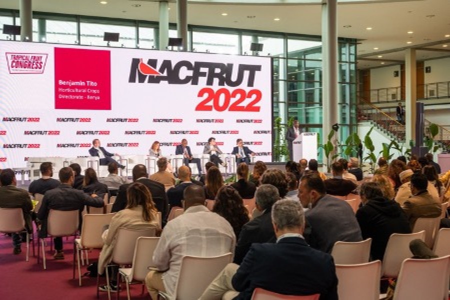 Tropical Fruit Congress, le boom de l'avocat