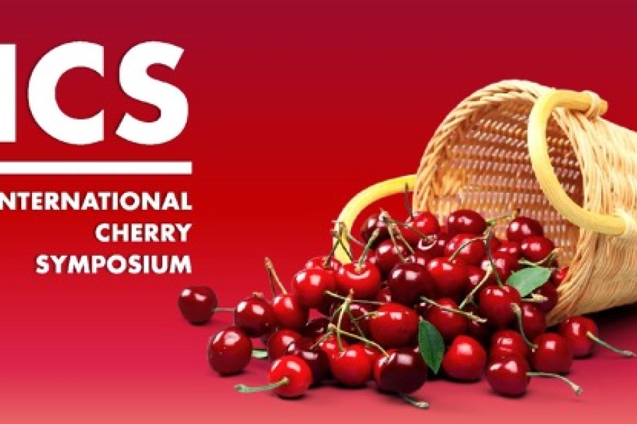 International Cherry Symposium