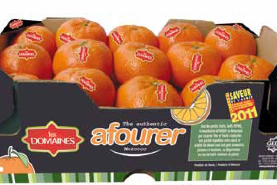 Une mandarine marocaine en vedette dans l’Hexagone