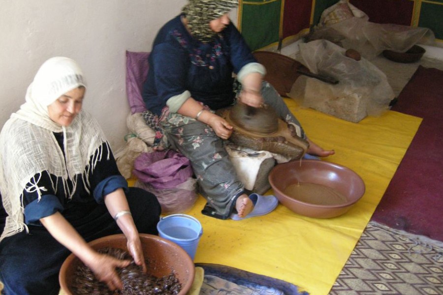 NAISSANCE DE LA FÉDÉRATION INTERPROFESSIONNELLE MAROCAINE DE LA FILIÈRE ARGANE 