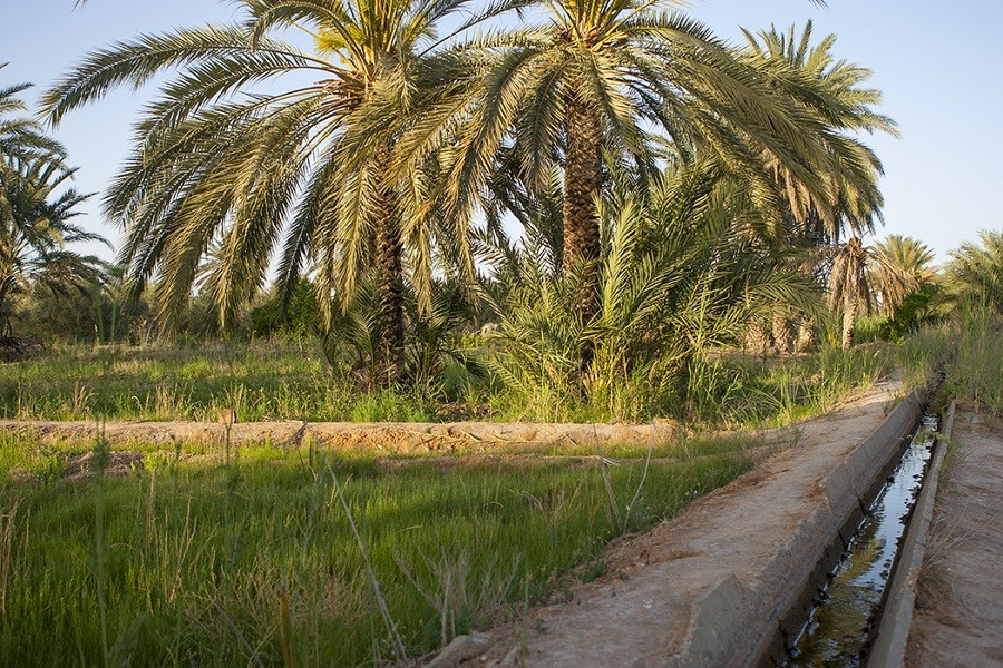 SANLUCAR REÇOIT LE PRIX D'ÉTAT POUR L'ENGAGEMENT SOCIAL EN TUNISIE