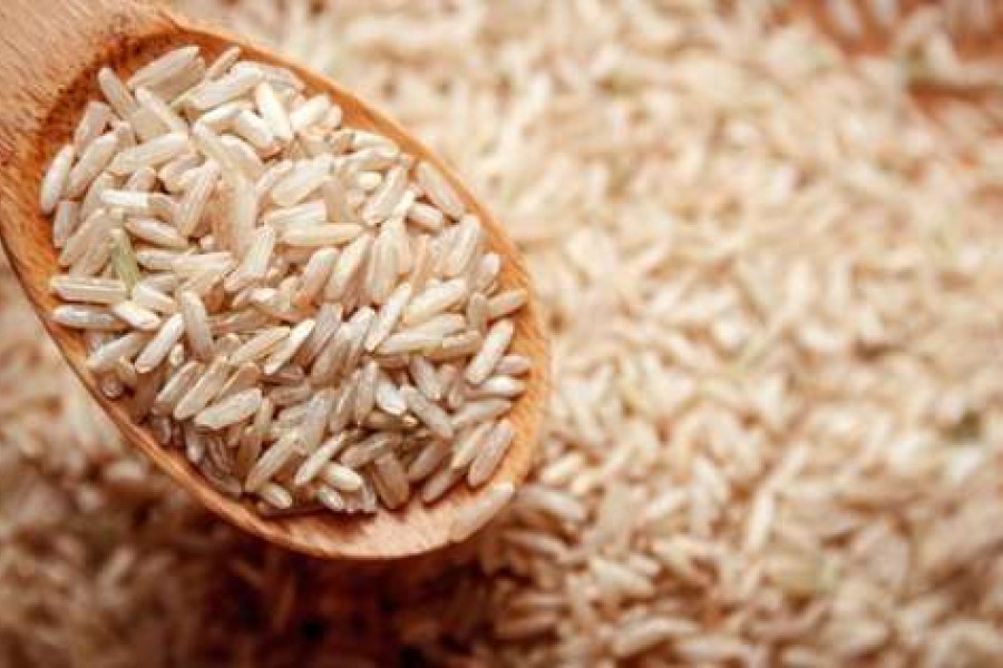 USA-MAROC : Les producteurs de riz américains s’ouvrent au marché marocain