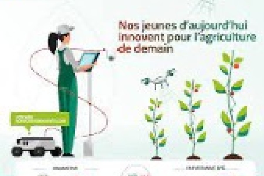 L’Agence pour le Développement Agricole lance le concours national 