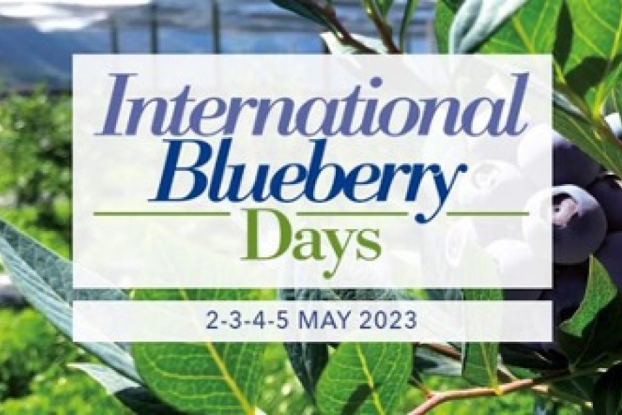 À Macfrut 2023 l'accent sera mis sur les myrtilles avec les International Blueberry Days