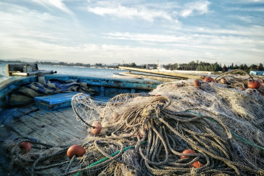 Dakhla se dote de quatre unités industrielles pour la valorisation des produits de la pêche