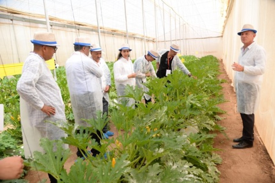 Journée portes ouvertes de Syngenta pour des solutions d’agriculture durable