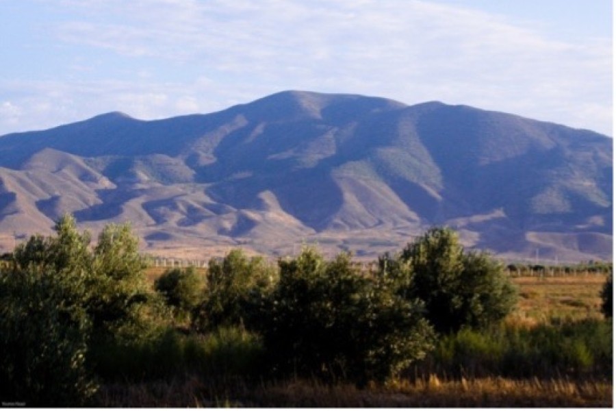 Région de l’Oriental : Inauguration et état d’avancement de projets de développement agricole et rural à Driouch et Nador