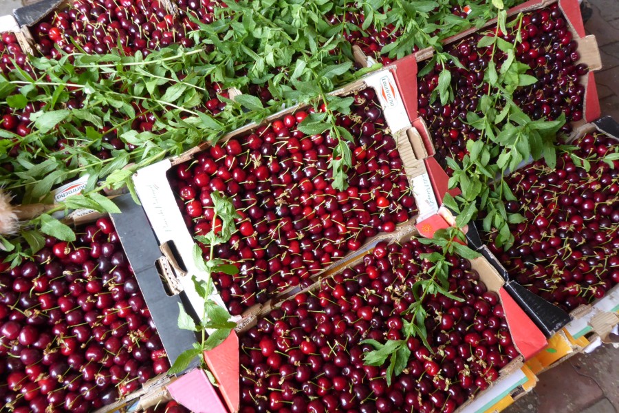 FESTIVAL DES CERISES DE SEFROU