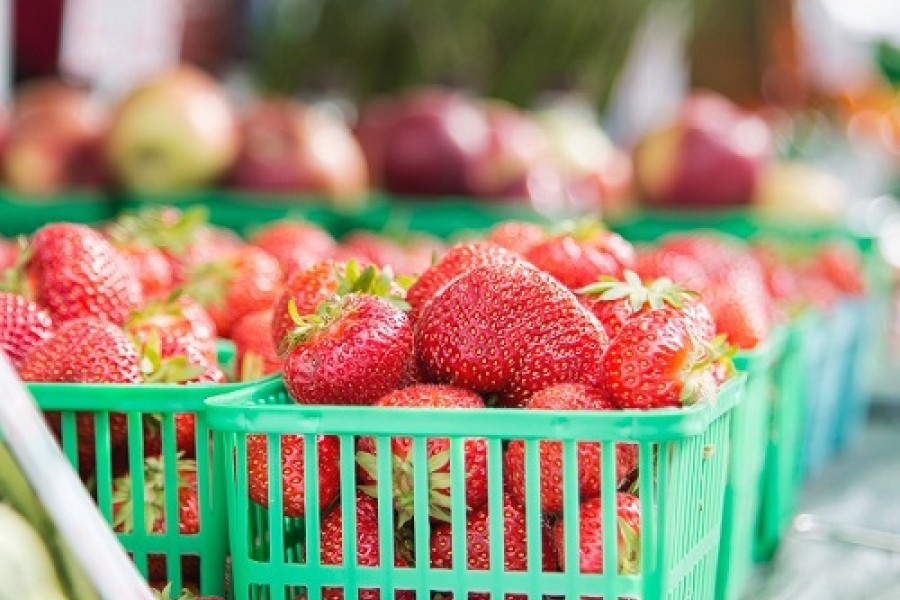 Fruits et légumes : exportations en hausse