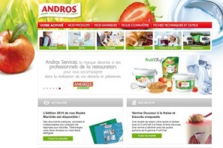 Nouveau site Andros Restauration