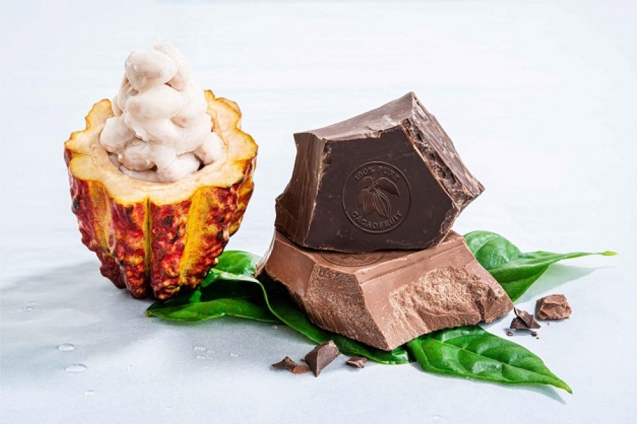 BARRY CALLEBAUT INNOVE