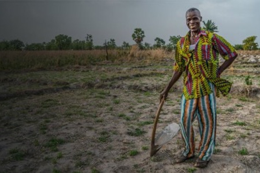 Le Groupe OCP consacre 4 millions de tonnes d’engrais au renforcement de la sécurité alimentaire en Afrique.