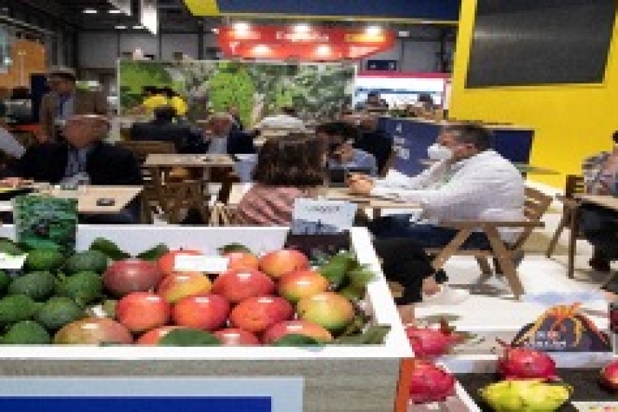 La liste des exposants de Fruit Attraction 2022 en avant-première est désormais disponible sur le site