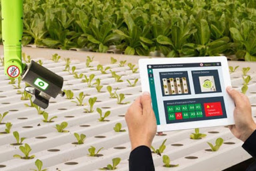 L’agriculture intelligente ou l’essor du berger 2.0