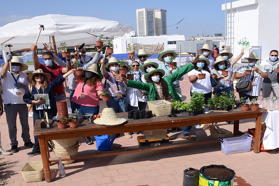 Green Day Attijariwafa bank : « initiation à l’agriculture urbaine »