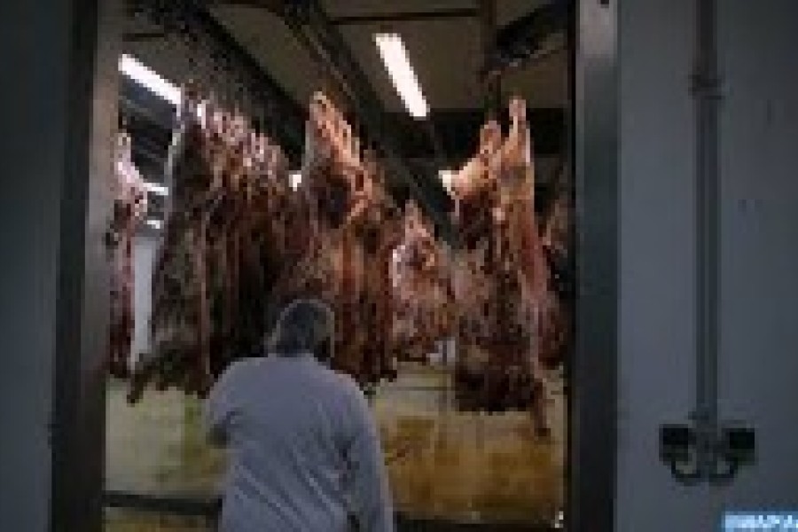 LES ABATTOIRS DE CASABLANCA CHANGENT D'IDENTITÉ VISUELLE