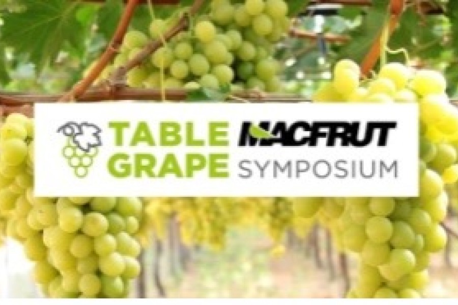 Symposium sur le raisin de table Macfrut : le raisin de table, produit phare du Macfrut 2024